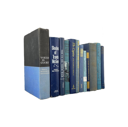 Antique Blue Hardback Books