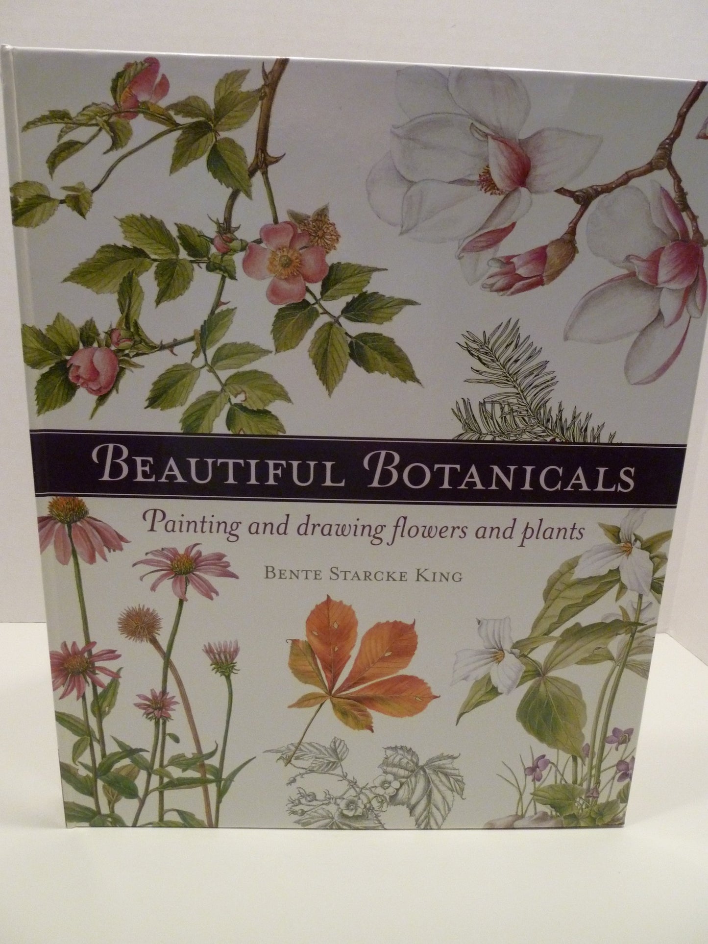 Beautiful Botanicals: Painting and Drawing Flowers and Plants