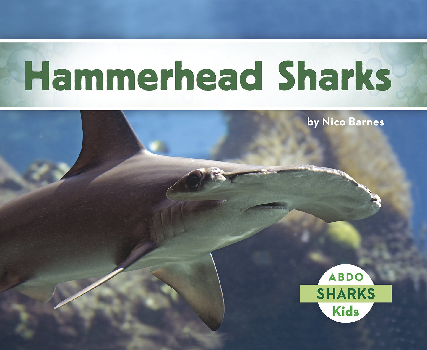 Hammerhead Sharks