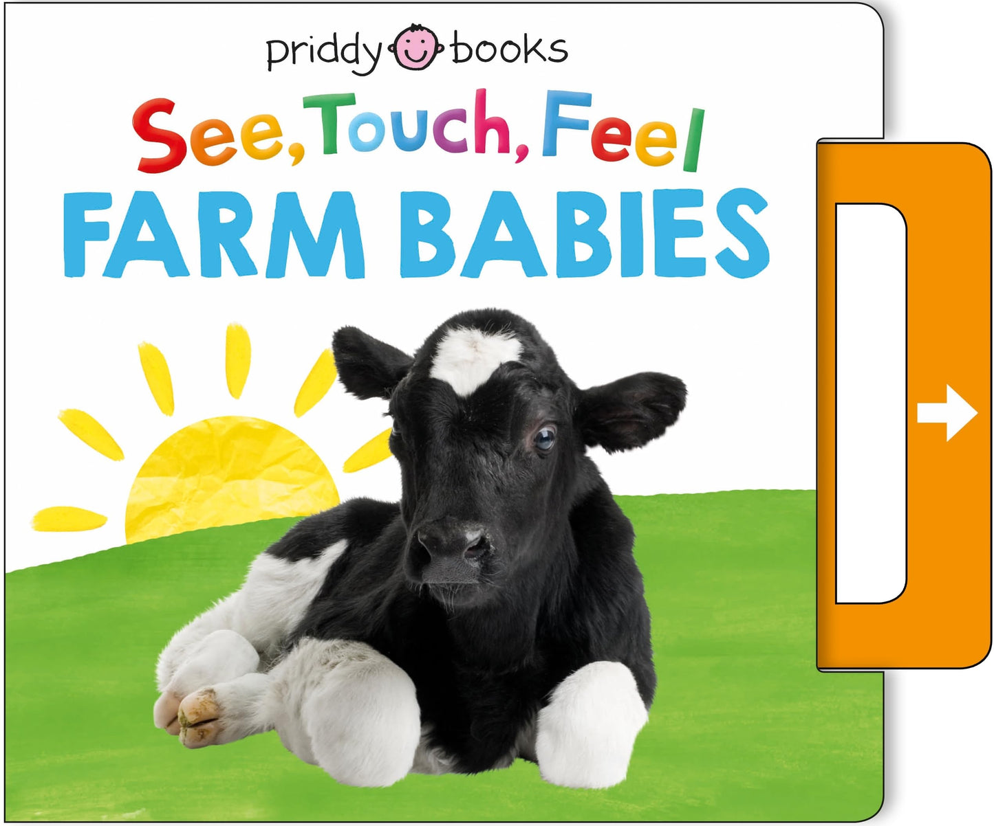 See, Touch, Feel: Farm Babies: A Noisy Pull-Tab Book