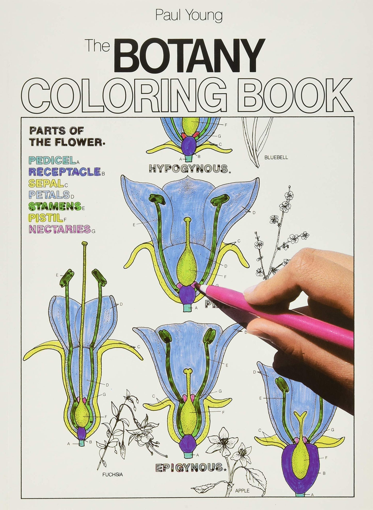 The Botany Coloring Book